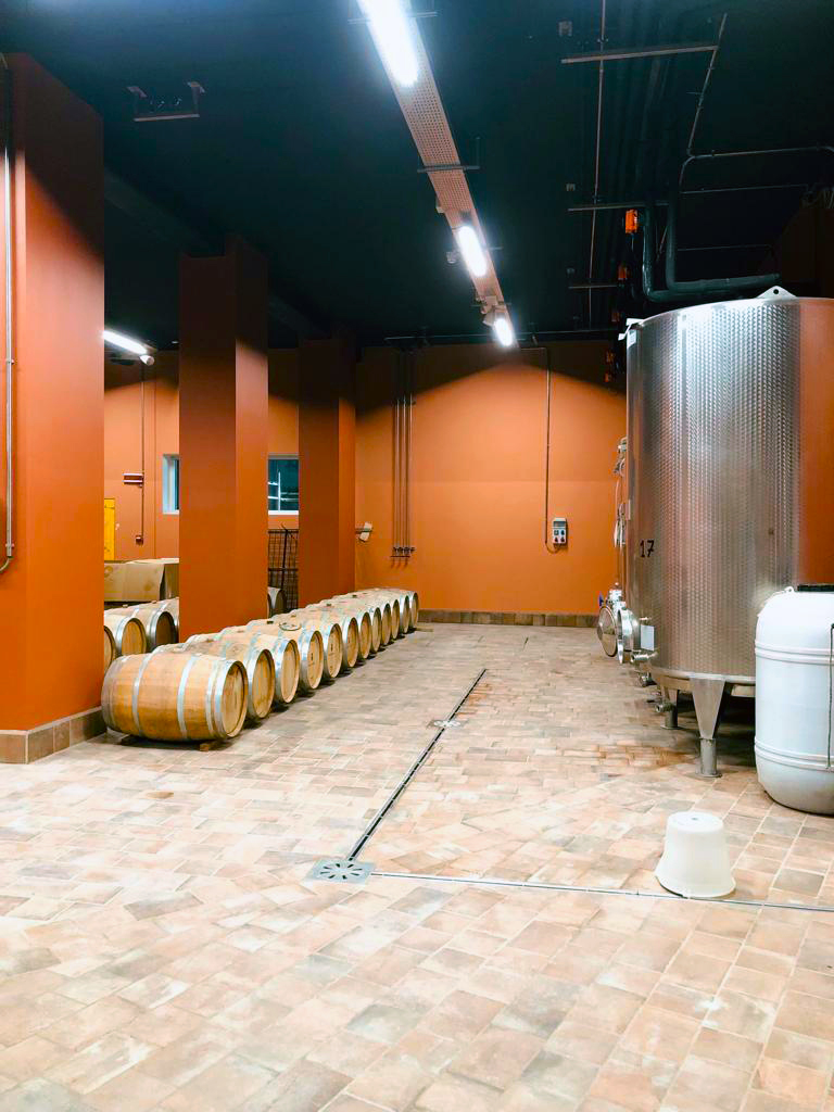 impianto cantina vinicola e spa